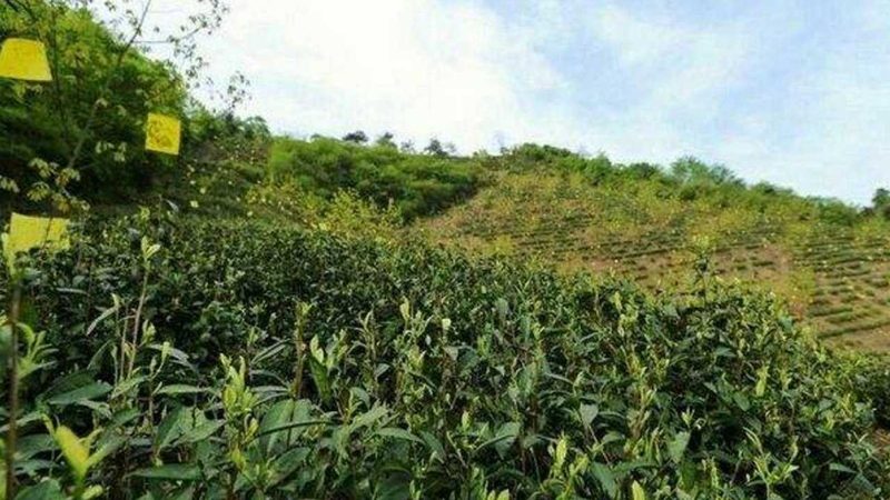 北京聚金浩商贸有限公司